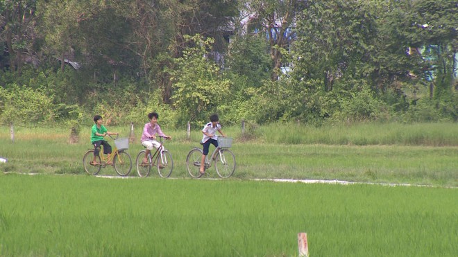 Huyện Củ Chi kêu gọi đầu tư vào 17,000 ha đất.