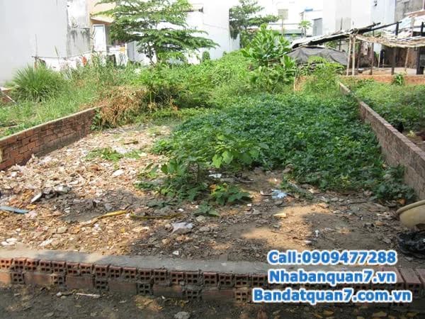 Bán đất đường số 79 phường tân quy quận 7 DTCN: 5*12m