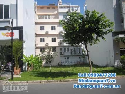 Cần bán gấp đất nhà nát MT hẻm 793 Kiều Đàm, P. Tân Hưng, Quận 7 (hẻm hiện hữu 8m). – ảnh 1