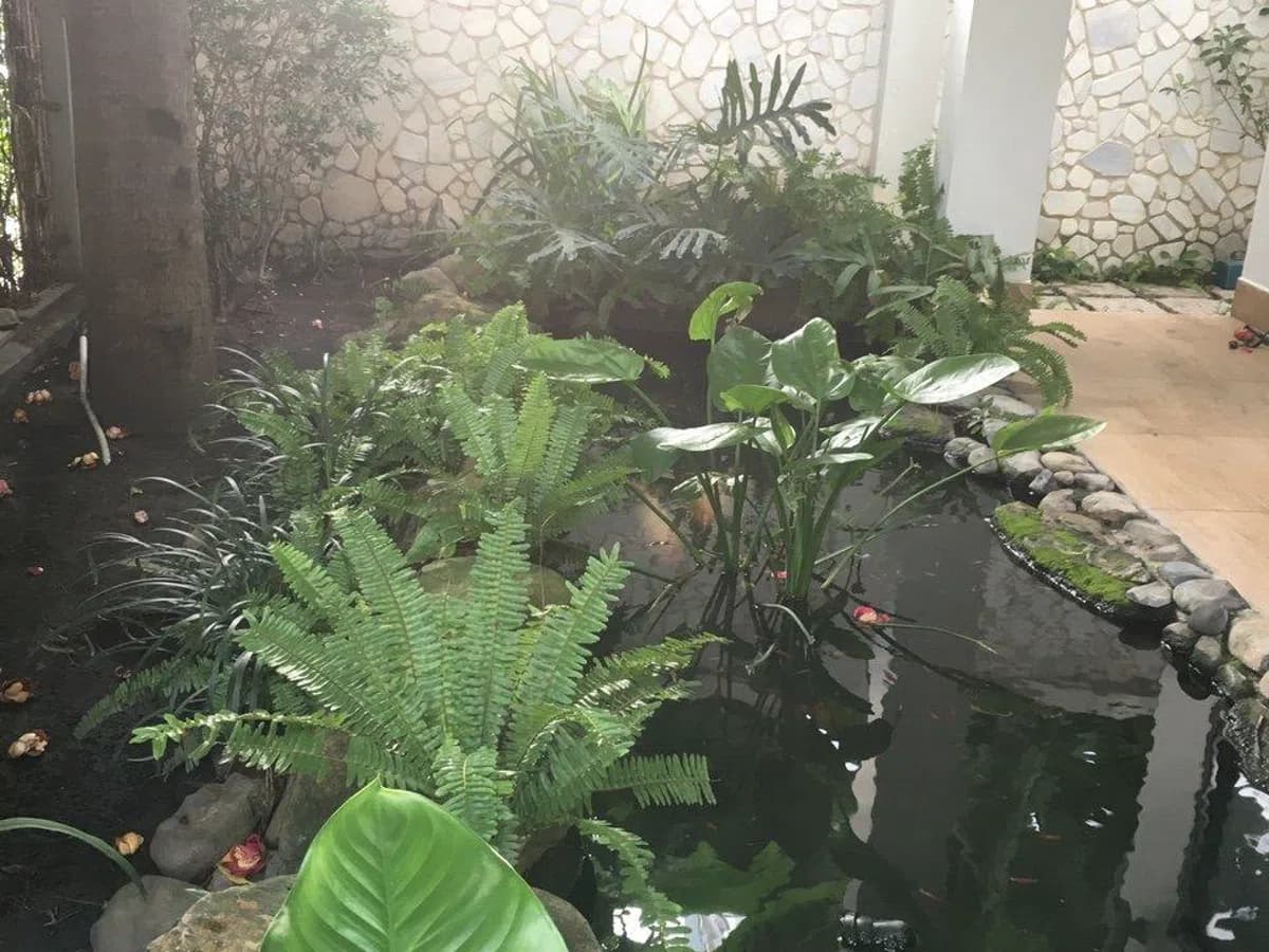 Bán nhà hẻm 701 trần xuân soạn p tân hưng quận 7