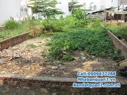 Bán Đất Nền hẻm Vườn Điều , Tân Quy ,quận 7