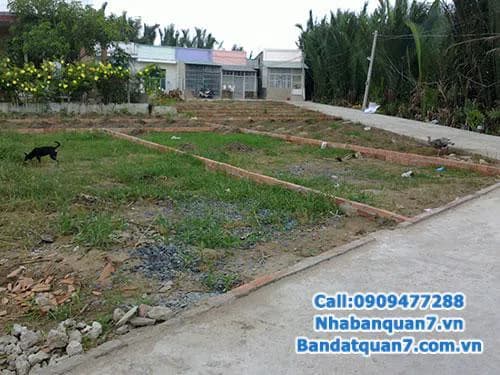 bán đất kim sơn đường thông ra lê văn lương thuộc căn góc DT: 5x20, sổ đỏ, hệ thống đường, điện, nước xong, tỷ lệ xây 50% – ảnh 1