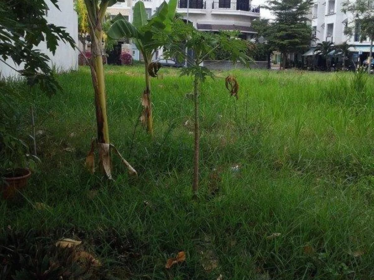 Chính chủ bán lô G43 Him Lam Kênh Tẻ, góc 2 MT Nguyễn Thị Thập